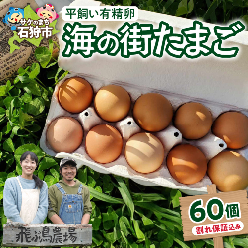 飛ぶ鳥農場　海の街たまご　60個 2212130 - 北海道石狩市