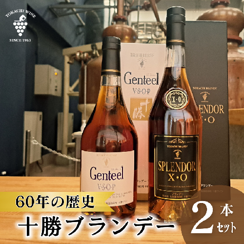 高級十勝ブランデー2本セット 計1.4L  ブランデー XO VSOP 高級 15年熟成  各1本700ml×2本 アルコール40% ジェンティール スプレンダー 60年の歴史 2212231 - 北海道池田町