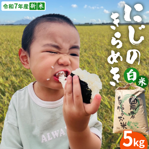 ＜ 新米 ＞ 令和7年産 茨城県産 白米 にじのきらめき 5kg 【2025年9月下旬より発送開始】 国産 茨城産 茨城県産米 つくばみらい市 精米 お米 こめ おこめ ごはん ご飯 白飯 ゴハン 生活応援 ふるさと おすすめ ツヤツヤ もっちり ふっくら 甘み 柔らかい 大粒 粘り 美味しい おいしい おむすび お弁当 和食 お取り寄せ 防災 備蓄 [DD100-NT] 2212233 - 茨城県つくばみらい市