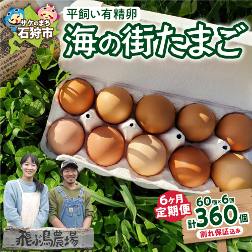 【定期便】飛ぶ鳥農場　海の街たまご　60個×6か月 2212238 - 北海道石狩市