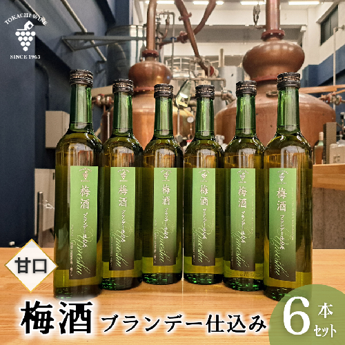 梅酒 ブランデー仕込み 500ml×6本 梅酒 ブランデー 甘口 原酒 熟成 フレンチオーク樽 2212241 - 北海道池田町