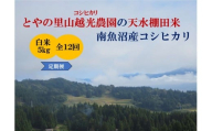 【令和7年産新米予約】【定期便】とやの里山越光農園「天水棚田米」南魚沼塩沢産コシヒカリ　精米5kgx全12回【2025年12月下旬より順次発送予定】