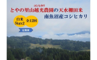 【令和7年産新米予約】【定期便】とやの里山越光農園「天水棚田米」南魚沼塩沢産コシヒカリ　精米10kg(5kgx2)x全12回【2025年12月下旬より順次発送予定】