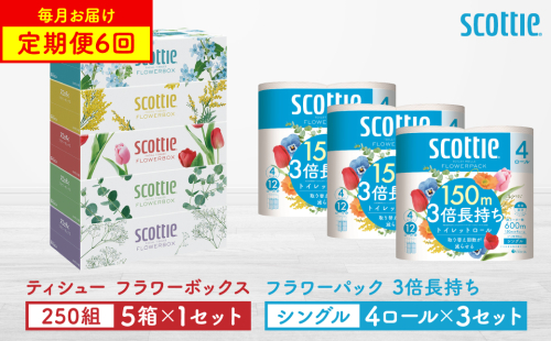 【定期便6回】【毎月お届け】【スコッティ】 ティシュー フラワーボックス 250組（5箱パック×1セット）＋フラワーパック 3倍長持ち（4ロール（シングル）4パック ×3セット） ティッシュ トイレットペーパー 日用品 ストック 2212495 - 熊本県八代市