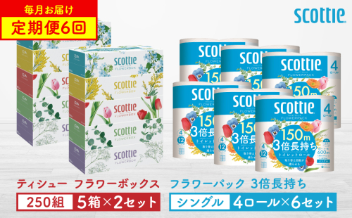 【定期便6回】【毎月お届け】【スコッティ】 ティシュー フラワーボックス 250組（5箱パック×2セット）＋フラワーパック 3倍長持ち（4ロール（シングル）パック ×6セット） ティッシュ トイレットペーパー 日用品 ストック 2212497 - 熊本県八代市