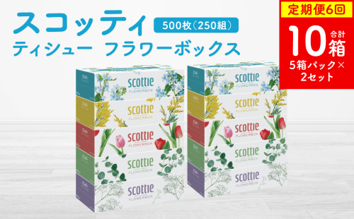 【定期便6回】【毎月お届け】【スコッティ】ティシュー フラワーボックス 250組 5箱パック×2セット 合計10箱 ティッシュ 日用品 生活必需品 消耗品 紙 まとめ買い 備蓄 防災備蓄 ストック デザインボックス 2212499 - 熊本県八代市