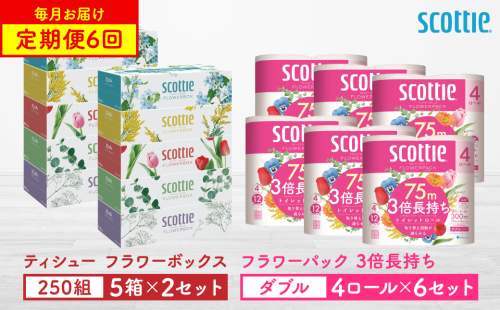【定期便6回】【毎月お届け】【スコッティ】 ティシュー フラワーボックス 250組（5箱パック×2セット）＋フラワーパック 3倍長持ち（4ロール（ダブル）パック ×6セット） ティッシュ トイレットペーパー 日用品 ストック 2212500 - 熊本県八代市
