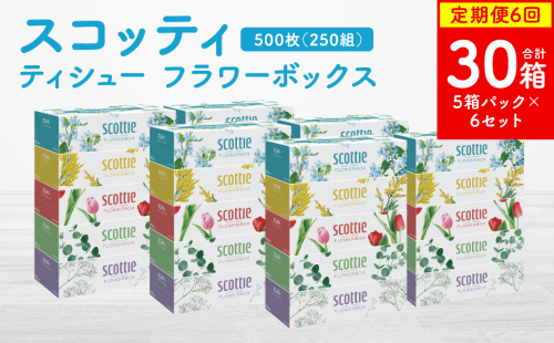 【定期便6回】【毎月お届け】【スコッティ】ティシュー フラワーボックス 250組 5箱パック×6セット 合計30箱 ティッシュ 日用品 生活必需品 消耗品 紙 まとめ買い 備蓄 防災備蓄 ストック デザインボックス 2212507 - 熊本県八代市