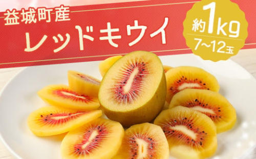 益城町産 レッドキウイ 約1kg（7～12玉）【2025年10月下旬～2026年2月上旬順次発送予定】 2212512 - 熊本県益城町