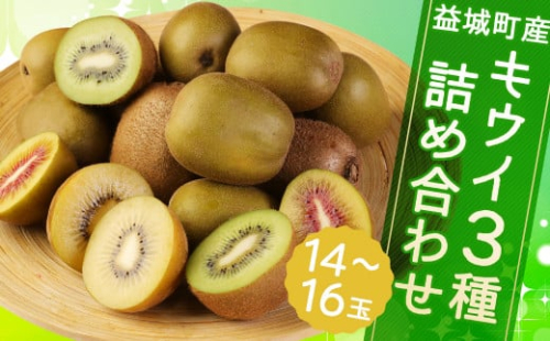 益城町産 特選 キウイ 3種 詰め合わせ 約1.8kg 14～16玉 （各種4玉～6玉） 【2025年11月下旬～2026年1月下旬順次発送予定】 2212552 - 熊本県益城町