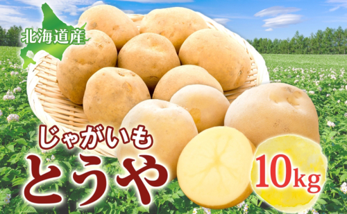 じゃがいも とうや 10kg 2025年9月上旬～12月中旬までお届け ジャガイモ 芋 甘い ホクホク なめらか ポテト カレー 調理 料理 煮込み料理 旬 野菜 お取り寄せ 北海道 洞爺湖町 2212716 - 北海道洞爺湖町