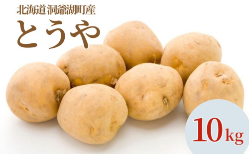 じゃがいも とうや 10kg  9月上旬～12月中旬までお届け ジャガイモ 芋 甘い なめらか しっとり ポタージュ カレー 調理 料理 煮込み料理 旬 季節 農作物 野菜 根菜 北海道 とうや湖農業協同組合 2212716 - 北海道洞爺湖町