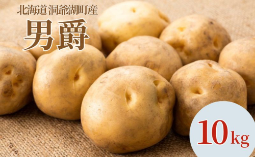 じゃがいも 男爵 10kg 9月上旬～12月中旬までお届け ジャガイモ 芋 甘い なめらか しっとり ポタージュ カレー 調理 料理 煮込み料理 旬 季節 農作物 野菜 根菜 北海道 とうや湖農業協同組合  2212717 - 北海道洞爺湖町