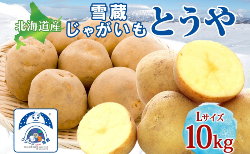 雪蔵じゃがいも 10kg とうやＬサイズ 2026年3月上旬～3月末までお届け ジャガイモ 芋 甘い なめらか しっとり ポタージュ カレー 調理 料理 煮込み料理 雪蔵 旬 季節 農作物 野菜 根菜 北海道 洞爺湖町 2212719 - 北海道洞爺湖町