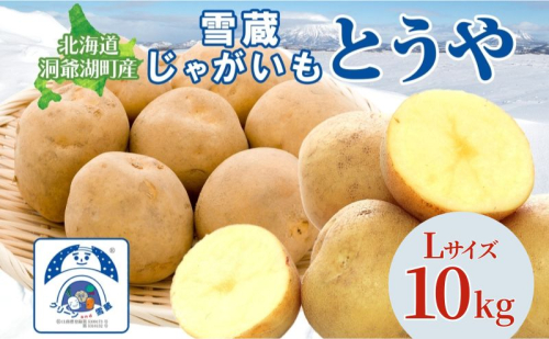 雪蔵じゃがいも 10kg とうやＬサイズ 2026年3月上旬～3月末までお届け ジャガイモ 芋 甘い なめらか しっとり カレー 調理 料理 煮込み料理 雪蔵 旬 季節 農作物 野菜 根菜 北海道 とうや湖農業協同組合  2212719 - 北海道洞爺湖町