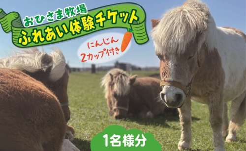 おひさま牧場ふれあい体験チケット（人参２カップ付き） 2212720 - 北海道日高町