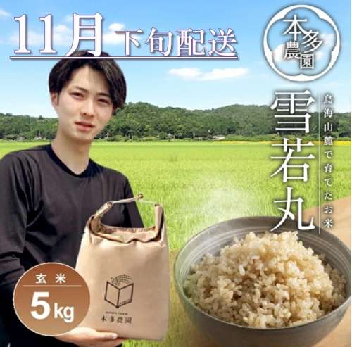 SB0732　11月下旬配送／令和7年産【玄米】雪若丸　5kg 農家直送 HO 2212898 - 山形県酒田市
