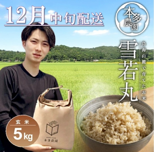 SB0734　12月中旬配送／令和7年産【玄米】雪若丸　5kg 農家直送 HO 2212906 - 山形県酒田市
