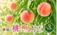 先行受付[訳あり]季節の桃 約3kg 2026年7月中旬〜9月下旬発送予定[新規就農者応援コース 幸作会]|桃 もも 不揃い 規格外 家庭用 傷 先行予約 モモ フルーツ 果物 長野 信州 クール便 冷蔵便 令和8年産[K-24]