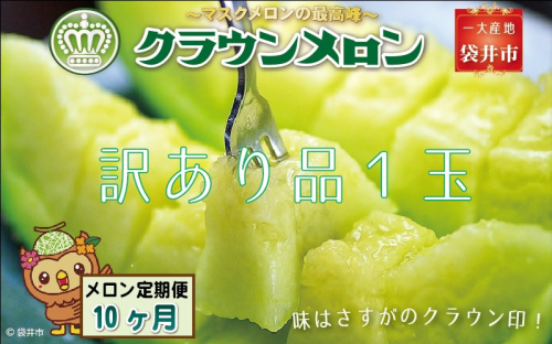 【10ヶ月定期便】クラウンメロン(訳あり)1玉入 メロン デザート グルメ 果物 フルーツ 季節の果物 スイーツ 袋井市 静岡県 2212924 - 静岡県袋井市