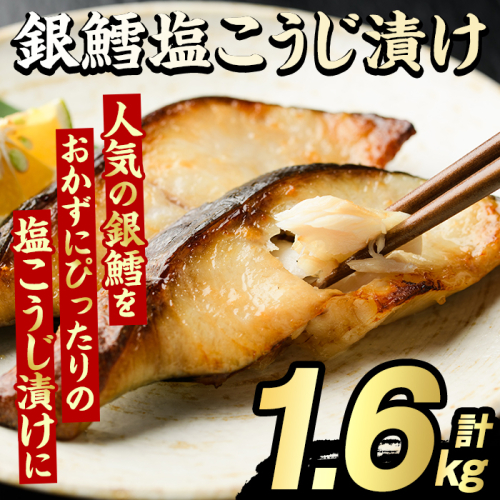銀鱈塩こうじ漬け(計1.6kg) たら タラ おかず おつまみ 惣菜 漬魚 漬け魚 塩麹漬け リピート 魚介類 海産物 冷凍 加工品 国内加工 加熱調理 【グローバルフーズ】akn061-16 2213108 - 鹿児島県阿久根市
