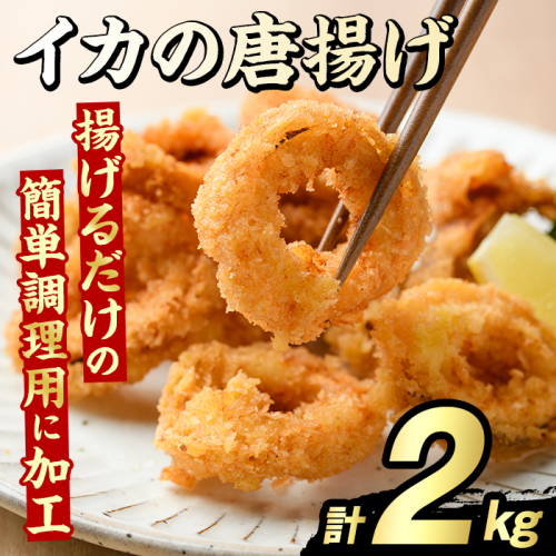 イカの唐揚げ(計2kg) いか イカ 唐揚げ 揚げ物 からあげ おかず おつまみ 惣菜 リピート 魚介類 海産物 冷凍 加工品 国内加工 簡単調理 【グローバルフーズ】akn061-20 2213119 - 鹿児島県阿久根市