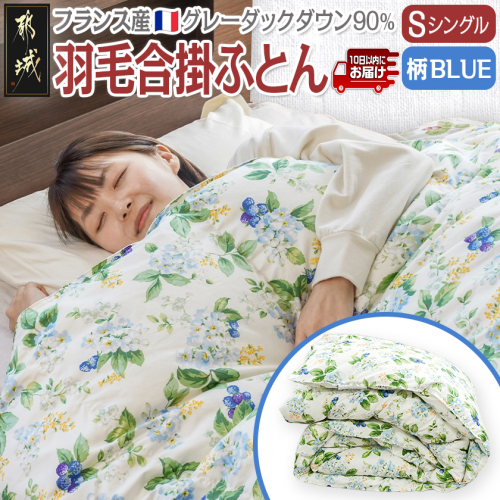 羽毛合掛ふとん フランス産グレーダック90%(柄BLUE)【S】≪みやこんじょ特急便≫_AI-E104-bl-Q 2213927 - 宮崎県都城市