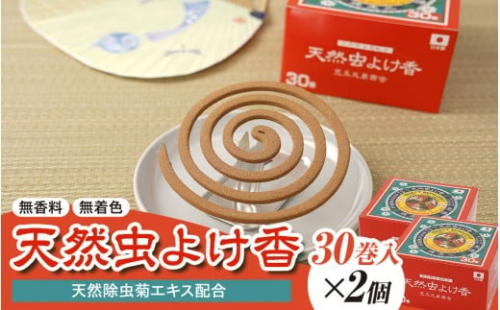 天然虫よけ香 30巻×2個 2214216 - 和歌山県海南市