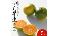 [極早生みかん]ゆら早生 みかん 5kg 家庭用 2S・3S混合サイズ 和歌山県海南市産 産地直送