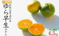 [極早生みかん]ゆら早生みかん 約6.5kg 大小混合サイズ 訳あり 和歌山県下津町産 産地直送 [北海道・沖縄県・一部離島 配送不可] [Mg25]