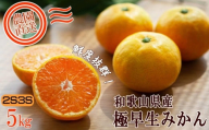 小玉みかん 約5kg 2S3S混合サイズ 訳あり 和歌山県産 農園直送 まごころ産直みかん [10月〜11月頃発送][北海道・沖縄県・一部離島 配送不可]下津 極早生みかん[Mg38]