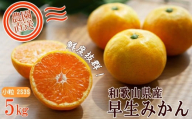早生みかん 約5kg 小粒2S・3S混合 [ご家庭用] 和歌山県産 農園直送 まごころ産直みかん [北海道・沖縄県・一部離島 配送不可] ちょっと 訳あり 希少 小粒みかん SSサイズ 小玉 わけあり 訳アリ [Mg46]