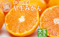早生みかん 約7kg 大玉 2L・3Lサイズおまかせ [ご家庭用] 和歌山県産 農園直送 まごころ産直みかん [北海道・沖縄県・一部離島 配送不可]大きい 蜜柑 温州みかん ちょっと訳あり わけあり 訳アリ [Mg50]
