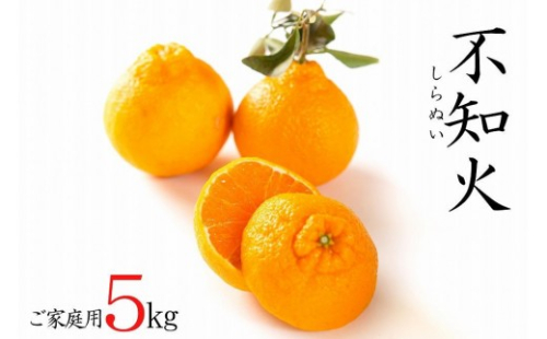 【先行予約】訳あり 不知火 5kg 15～24玉 和歌山県海南市産 【2027年2月下旬から4月下旬頃順次発送予定】デコポン でこぽん 訳ありデコポン 訳ありでこぽん しらぬい 不知火 訳あり不知火 わけあり不知火 フルーツ 果物 みかん 柑橘 旬 デコポンと同一品種 2214290 - 和歌山県和歌山市