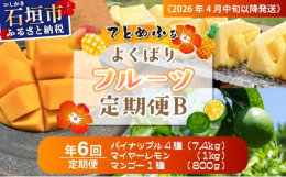 【ふるさと納税】《2026年4月中旬以降発送》島のおいしいを贅沢に！大満足のパイナップル4種とマンゴー、マイヤーレモンの定期便 年6回
