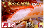 【1肩1kgの極太5Lサイズ】本たらば蟹 ボイル肩 1kg【2025年10月以降の発送】【087C-053】
