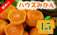 訳あり ハウスみかん 約1.5kg | 柑橘 果物 フルーツ 不揃い 傷あり ワケアリ 訳アリ 愛媛県産 温室みかん 甘い 蜜柑 mikan 薄皮 ジューシー 詰め合わせ 家庭用 人気 お取り寄せ 愛媛県 松山市