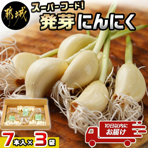 スーパーフード!つまみにんにく 7本入り×3袋※冷蔵≪みやこんじょ特急便≫〔C9-001-3-ss-Q〕 2214442 - 宮崎県都城市