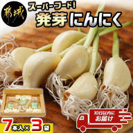 スーパーフード!つまみにんにく 7本入り×3袋※冷蔵≪みやこんじょ特急便≫