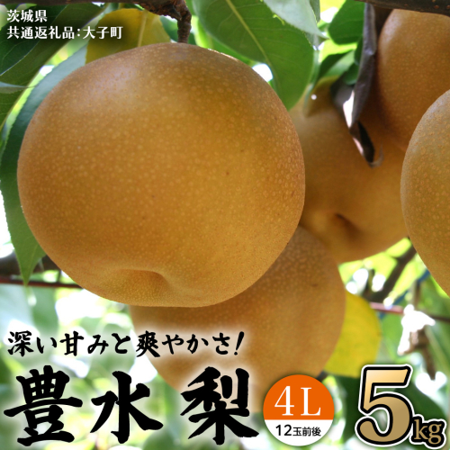 茨城県産 梨 豊水 4L 5kg(12玉前後) (茨城県共通返礼品:大子町) 梨 なし ナシ 果物 くだもの 季節 フルーツ デザート 旬果 2214443 - 茨城県牛久市
