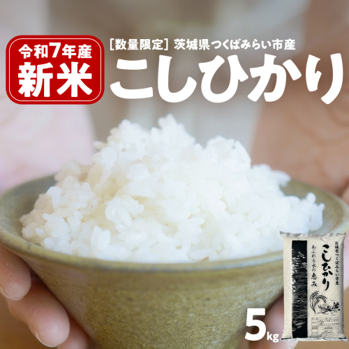 ＼ 新米先行予約 ／ コシヒカリ 5kg 令和7年産精米 【 数量限定 】茨城県つくばみらい市産 米 コメ 単一米 13000 茨城県産 国産 発送 コスパ こしひかり [CL143-NT] 2214447 - 茨城県つくばみらい市