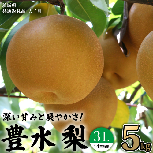 茨城県産 梨 豊水 3L 5kg(14玉前後) (茨城県共通返礼品：大子町) 梨 なし ナシ 果物 くだもの 季節 フルーツ デザート 旬果  2214523 - 茨城県牛久市