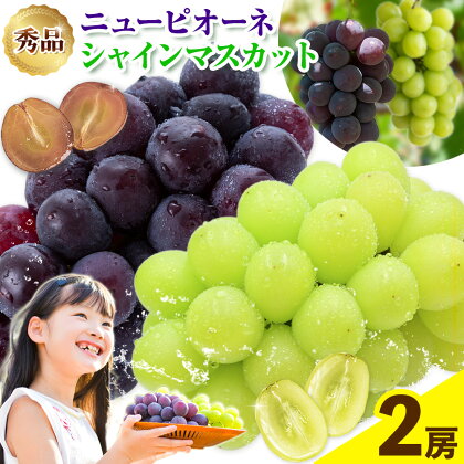 岡山県産 秀品 シャインマスカット ニューピオーネ 詰め合わせ 約1.2kg 2房 葡萄 果物 厳選出荷 スイーツ フルーツ デザート 岡山県 笠岡市《9月中旬～11月上旬頃に出荷予定(土日祝除く)》数量限定 秋旬 種なしぶどう 2214746 - 岡山県笠岡市