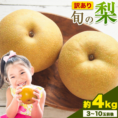 【先行予約】訳あり 旬の梨 約4kg 3-10玉前後 岡山県産 梨 訳あり 新高 愛宕 王秋梨 鴨梨 岡山 笠岡市《9月上旬-1月末頃に出荷予定》数量限定 梨 なし ナシ 2214816 - 岡山県笠岡市