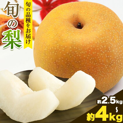 【先行予約】秀品 岡山県産 旬の 梨 約2.5kg 2～6玉前後 約4kg 3～10玉前後 梨 秀品 新高 愛宕 スイーツ フルーツ デザート 旬 岡山県 笠岡市《9月上旬-1月末頃に出荷予定》 2214817 - 岡山県笠岡市