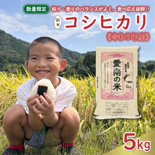 先行予約 新米 令和7年産 コシヒカリ 5kg 13000円 お米 白米 精米 米 こめ 産地直送 国産 農家直送 期間限定 数量限定 特産品 先行 事前 受付 令和7年度産 2025年産 もっちり 粘り 甘み おいしい おにぎり こしひかり 内祝い お祝い 贈答品 お返し プレゼント ギフト 土産 御礼 お礼 お取り寄せ えひめ南農業協同組合 愛南町 愛媛県 2214873 - 愛媛県愛南町