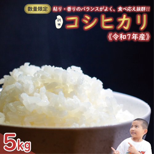先行予約 新米 令和7年産 コシヒカリ 5kg 13000円 お米 白米 精米 米 こめ 産地直送 国産 農家直送 期間限定 数量限定 特産品 先行 事前 受付 令和7年度産 2025年産 もっちり 粘り 甘み おいしい おにぎり こしひかり 内祝い お祝い 贈答品 お返し プレゼント ギフト 土産 御礼 お礼 お取り寄せ えひめ南農業協同組合 愛南町 愛媛県 2214873 - 愛媛県愛南町
