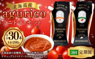 【3回定期便】agurico ミニトマトセット 《ケチャップ・ソース：各200g×5本 計10本×3回》 | 調味料 野菜 トマト ケチャップ トマトソース 北海道産ミニトマト
