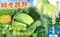 [ 先行予約 ] キャベツ 約4〜5kg 鮮度抜群! 農業家が手がける旨味な きゃべつ 2〜4玉 | うの福商店 うのふく とろける きゃべつ 味自慢 フレッシュ 新鮮 ロールキャベツ 存在感 回鍋肉 煮込み料理 千葉県 君津 きみつ