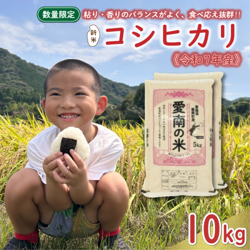 先行予約 新米 令和7年産 コシヒカリ 10kg 25000円 お米 白米 精米 米 こめ 産地直送 国産 農家直送 期間限定 数量限定 特産品 先行 事前 受付 令和7年度産 2025年産 もっちり 粘り 甘み おいしい おにぎり こしひかり 内祝い お祝い 贈答品 お返し プレゼント ギフト 土産 御礼 お礼 お取り寄せ えひめ南農業協同組合 愛南町 愛媛県 2215629 - 愛媛県愛南町